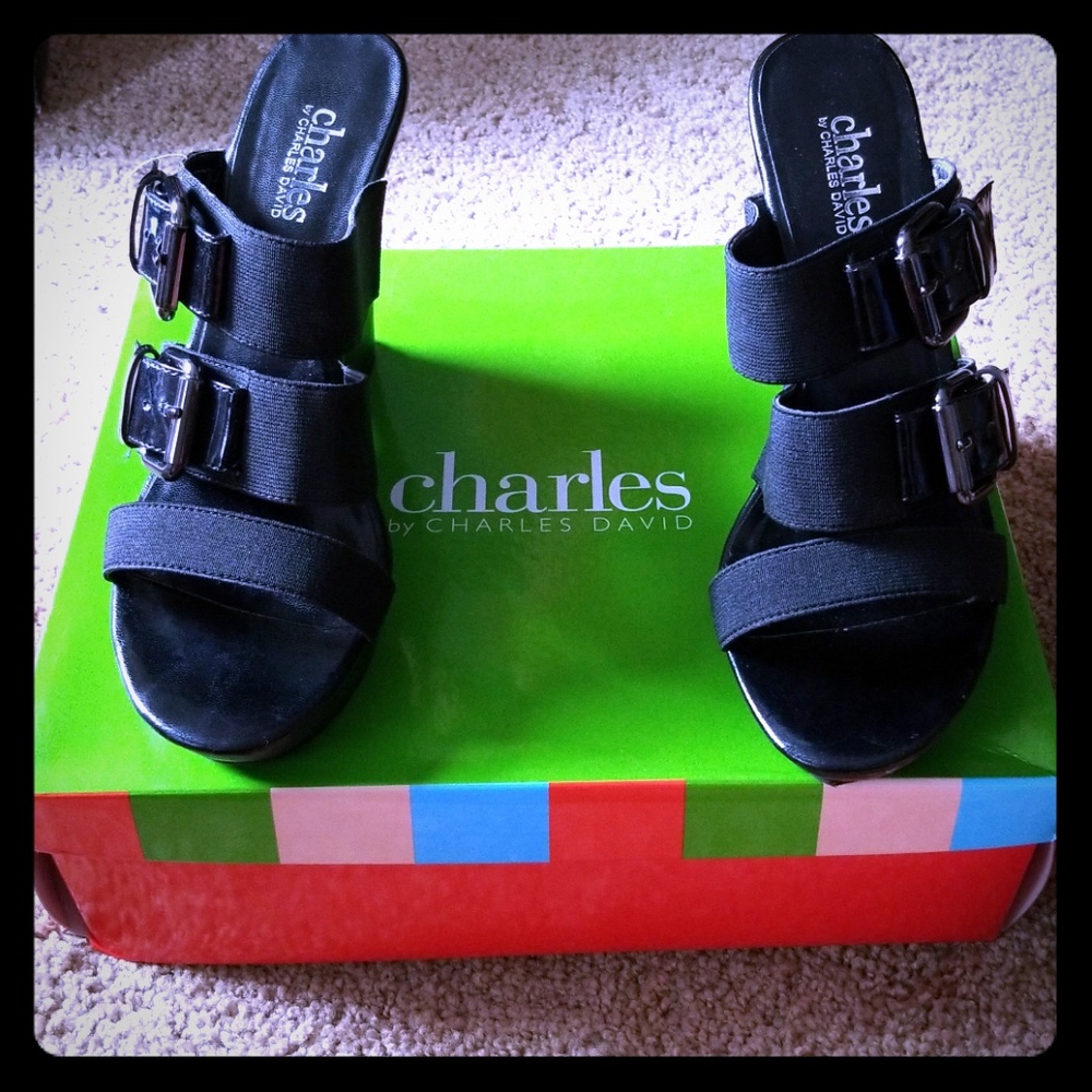 Charles David Sandal